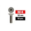 M4x12mm FLAT HEAD SCREWS (10 pcs)