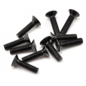 Parafusos de cabeça plana 4x16mm (10)